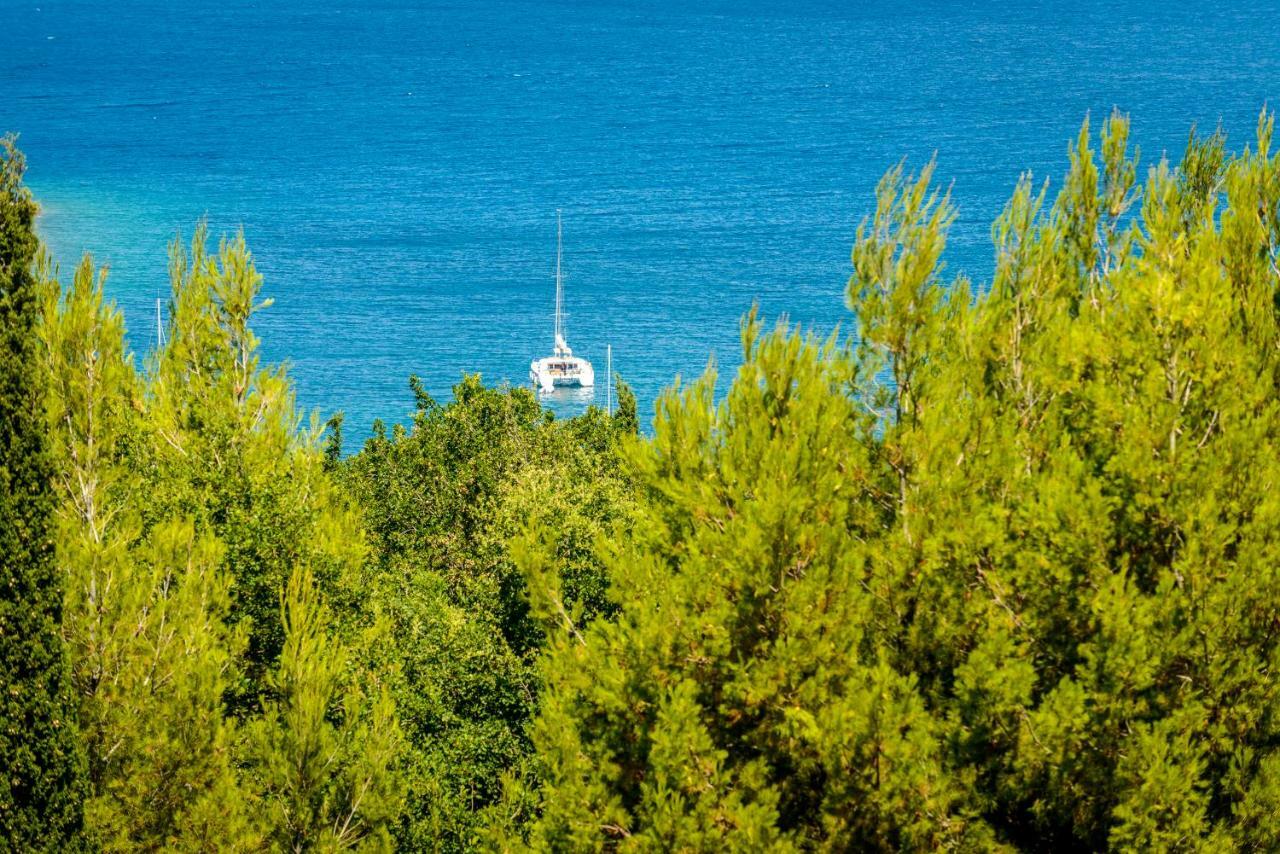 Villa Niki 2 Cavtat Dış mekan fotoğraf
